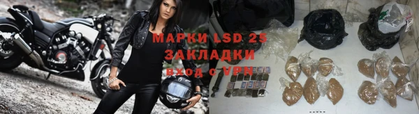 эйфоретик Пересвет