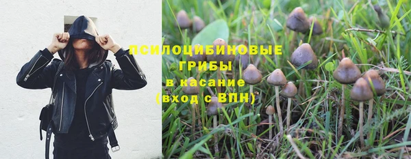 твердый Алзамай