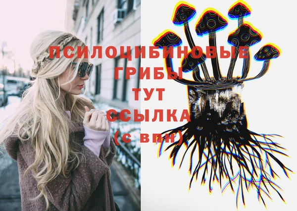 mix Алексин