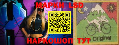 тгк Шебекино