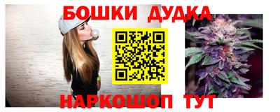 тгк Шебекино