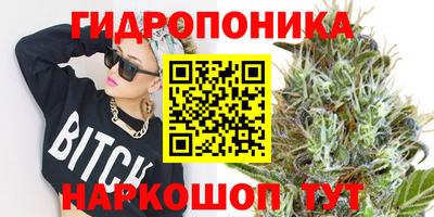 тгк Шебекино