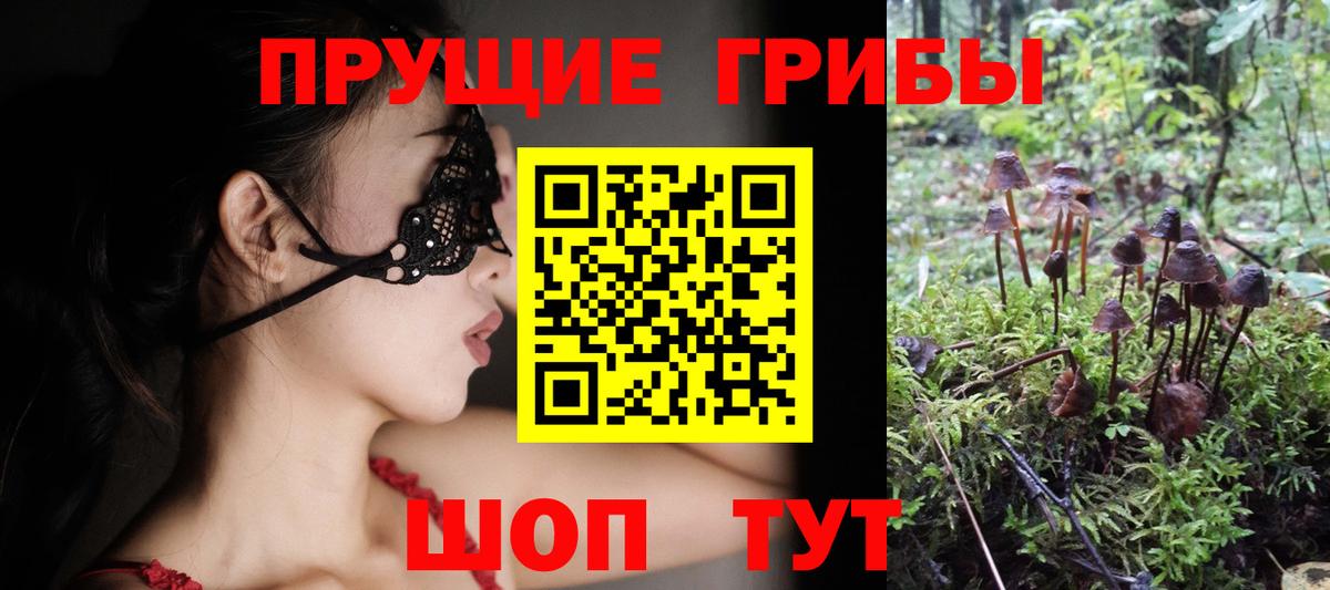 Похвистнево  Галлюциногенные грибы мухоморы  Вход с VPN  Псилоцибиновые грибы MAGIC MUSHROOMS 