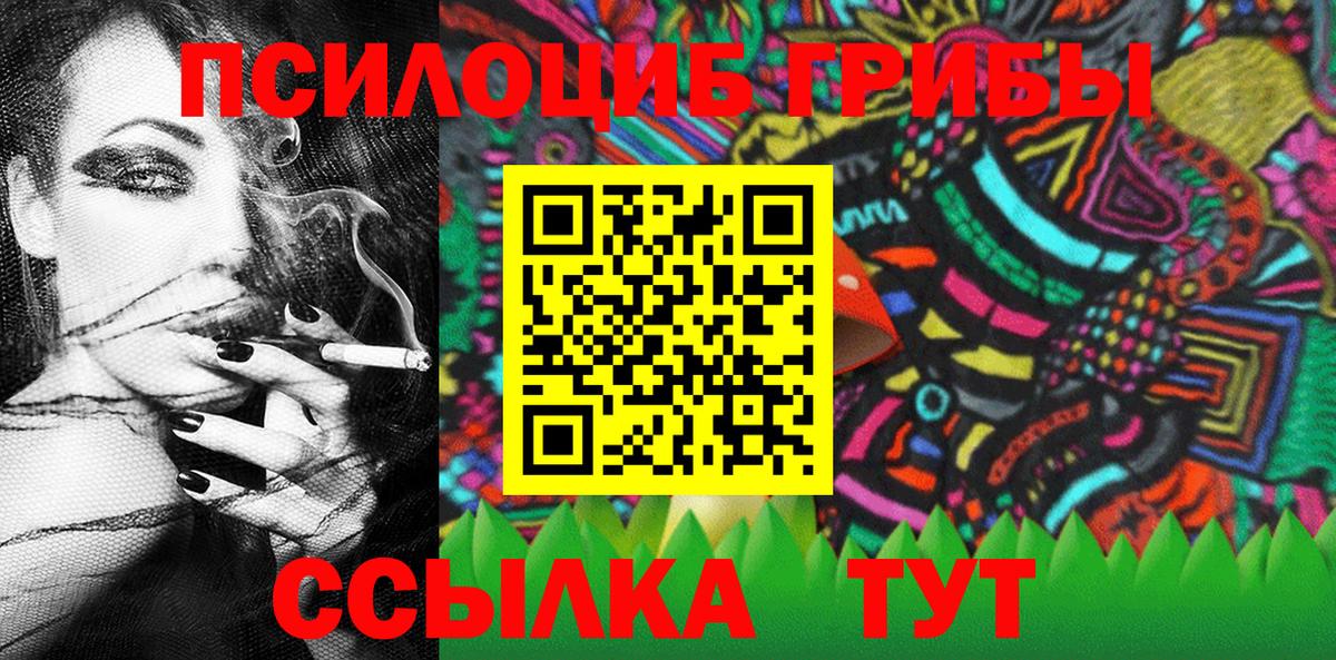 Псилоцибиновые грибы Psilocybine cubensis Похвистнево